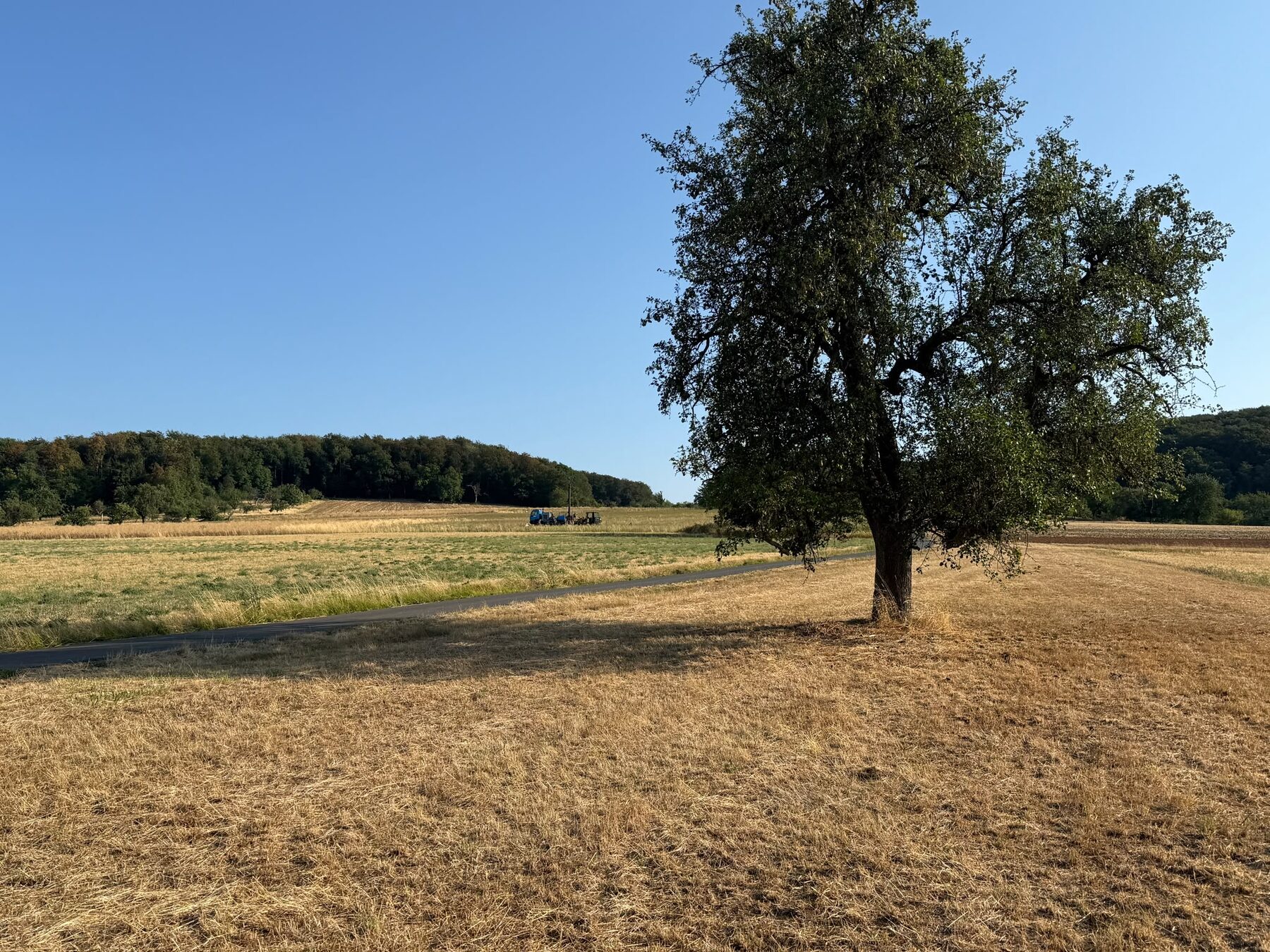 Blick über die Breckenheimer Gemarkung auf eine Erkundungsbohrung für den Rhein-Main-Link