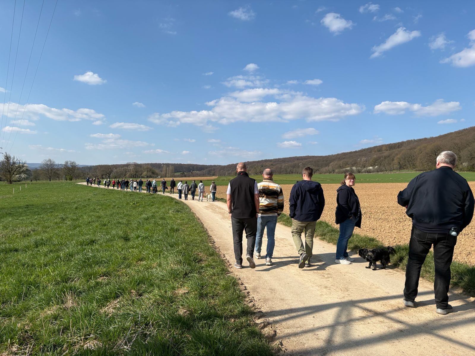 Rund 40 bis 50 Teilnehmende beim Spaziergang entlang der geplanten Rhein-Main-Link-Trasse